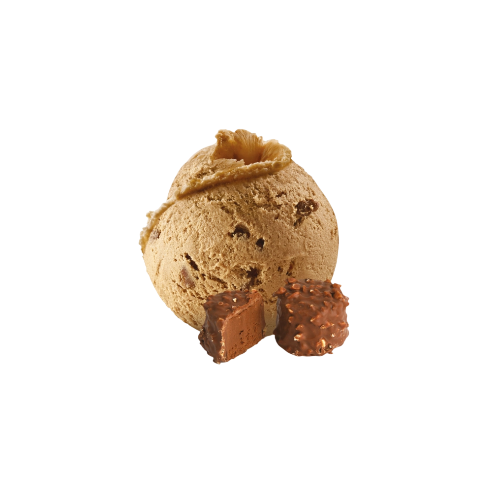 DESSERTS C/92934 HELADO ROCHER AVELLANA 2,5L