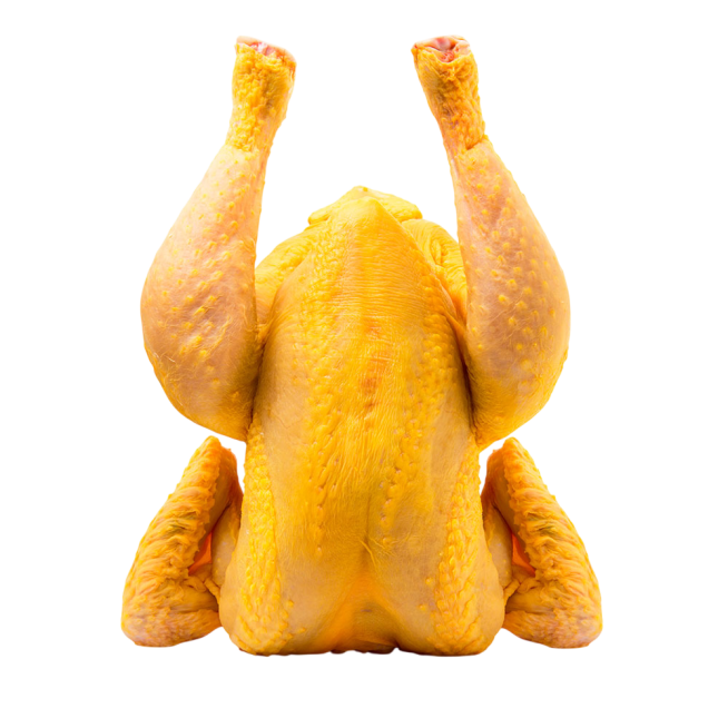 POLLO DE CORRAL FRESCO KG.