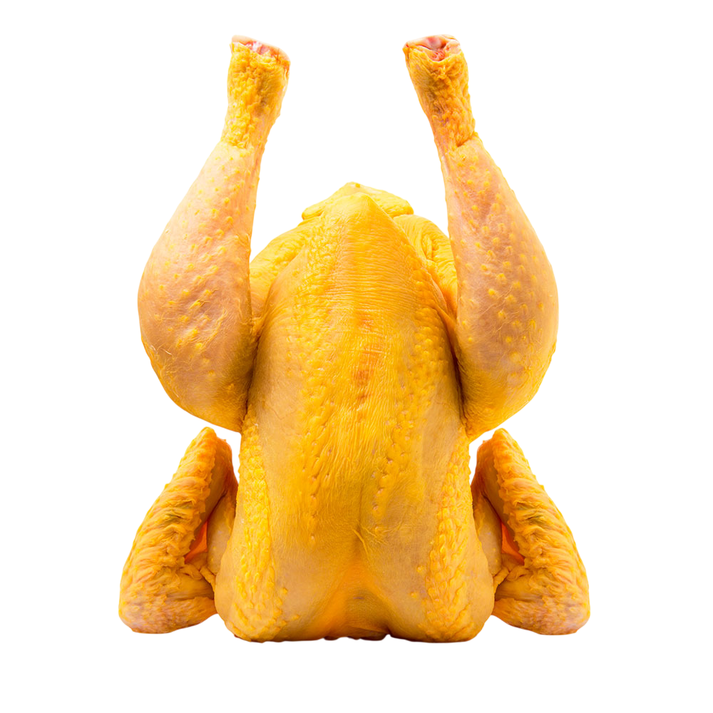 POLLO DE CORRAL FRESCO KG.