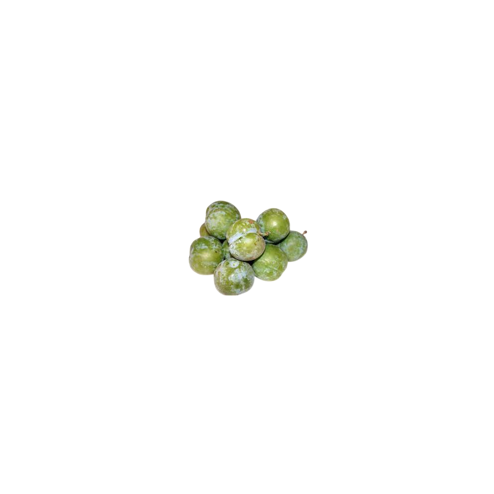 CIRUELA LETICIA X KG