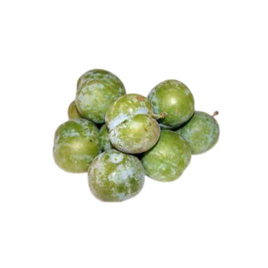 CIRUELA LETICIA X KG