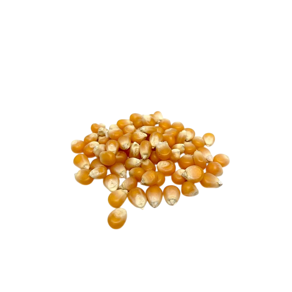 MAIZ PALOMITA X KG