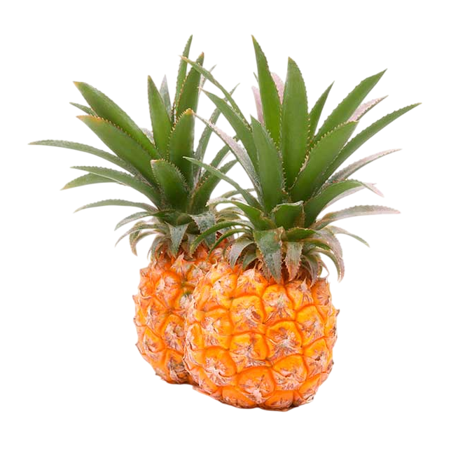 PIÑA ISLA BONITA X KG