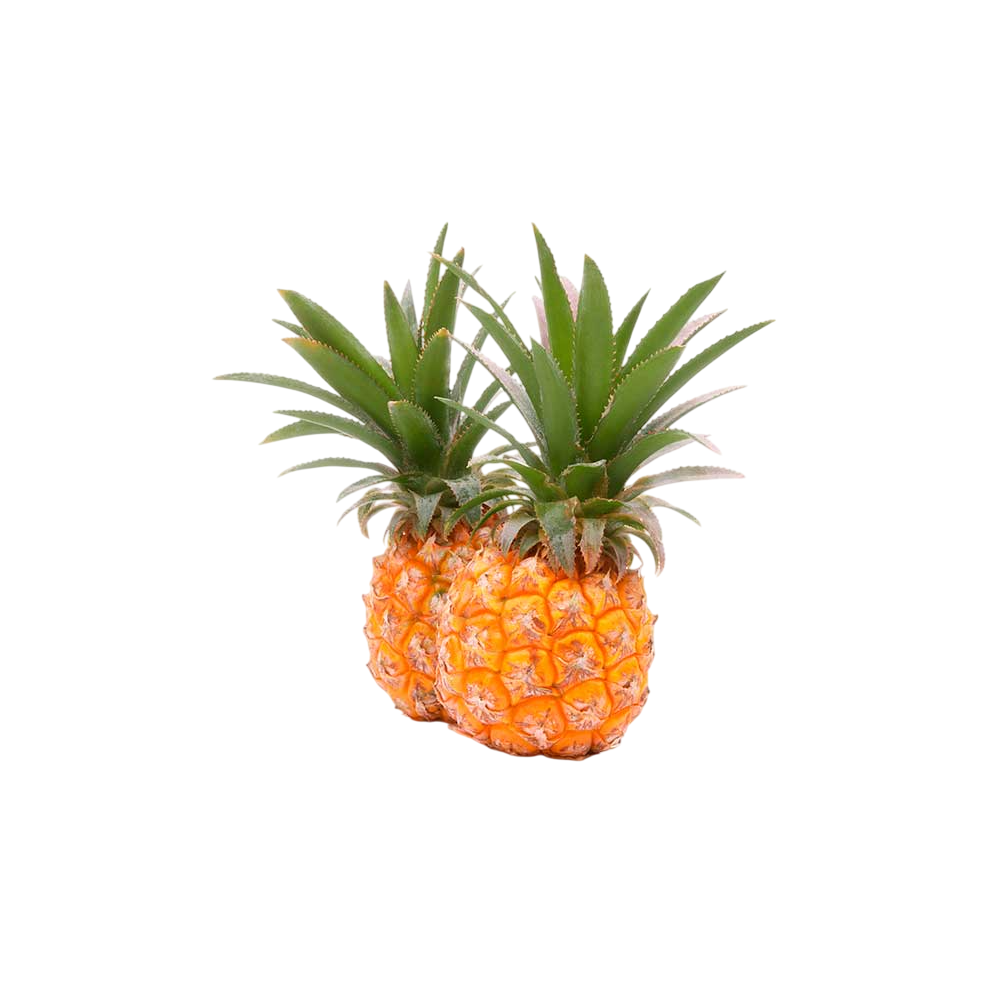 PIÑA ISLA BONITA X KG