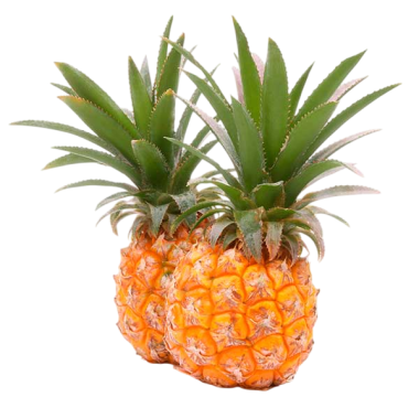 PIÑA ISLA BONITA X KG