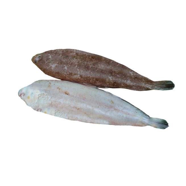 ACEDIAS FRESCAS.P.V.P. X KG.