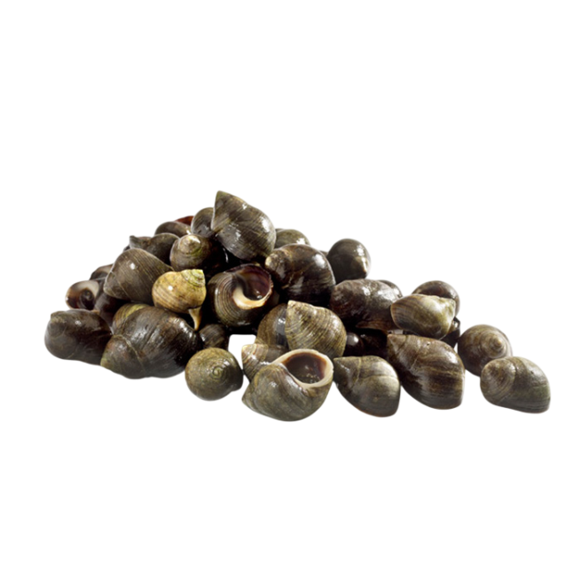BIGAROS COCIDO JUMBO CONG.PVP.X.KG.