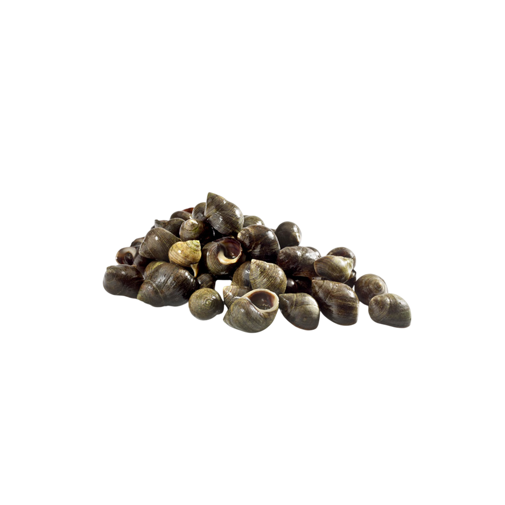 BIGAROS COCIDO JUMBO CONG.PVP.X.KG.