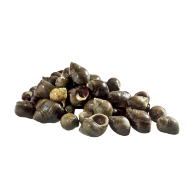 BIGAROS COCIDO JUMBO CONG.PVP.X.KG.