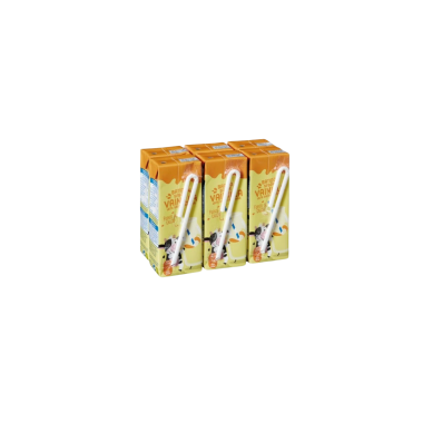 BATIDO VAINILLA GOURMET 200 ML PACK-6 UD