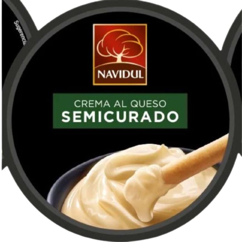 QUESO CREMA NAVIDUL SEMICURADO T/90 GR 