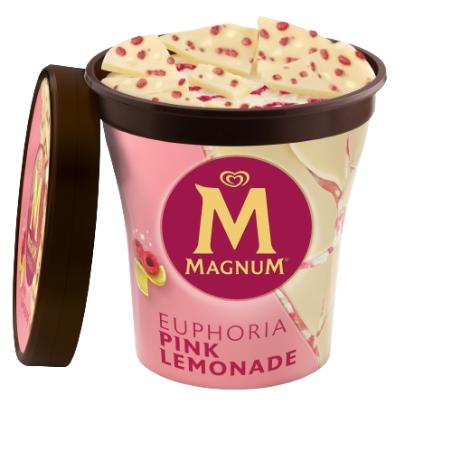 HELADO FRIGO TARRINA MAGNUM EUPHORIA 440ML