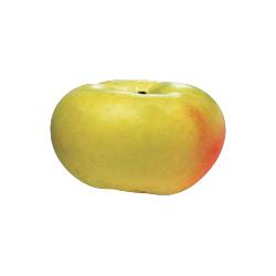 MANZANA VERDEDONCELLA 1ª X KG