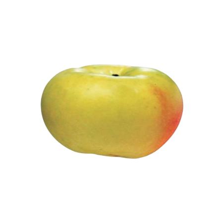 MANZANA VERDEDONCELLA 1ª X KG