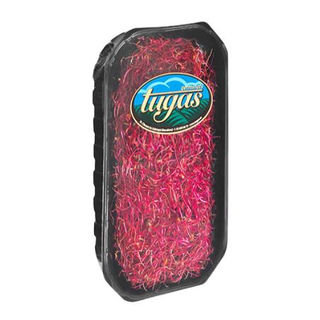 BROTES REMOLACHA TUGAS B/80 GR