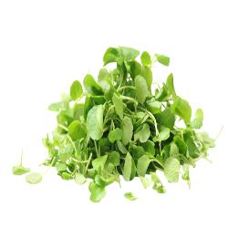BERROS ESTUCHE 100 GR