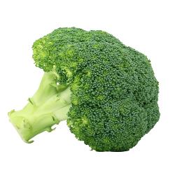BROCOLI FRESCO X KG