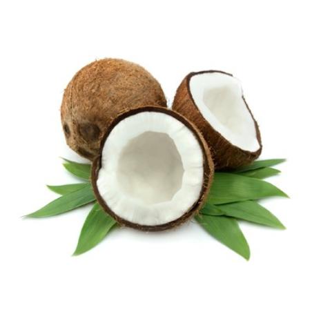 COCO PIEZA
