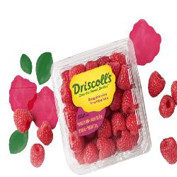 FRAMBUESA DRISCOLLS EST/125 GR