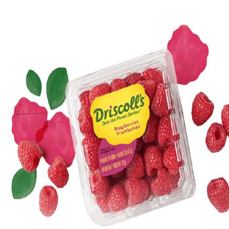 FRAMBUESA DRISCOLLS EST/125 GR
