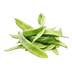 JUDIA VERDE EXTRA FRESCA X KG