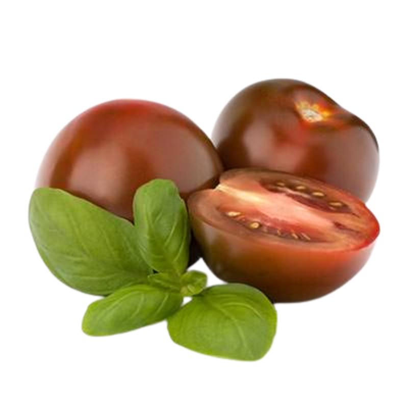 TOMATE KUMATO X KG