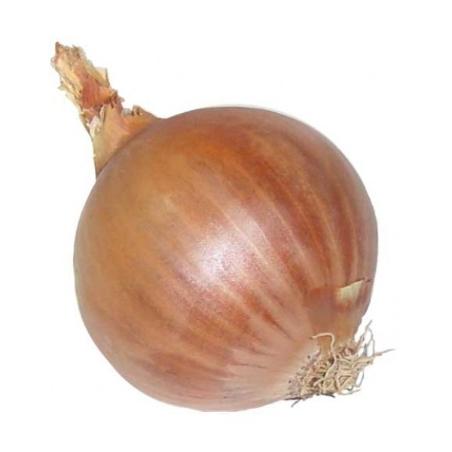 CEBOLLA BOLSA/ 4 UD