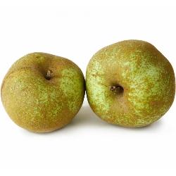 MANZANA REINETA 1ª X KG