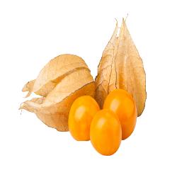 ARCAGERGES PHYSALIS BANDEJA 100 GR