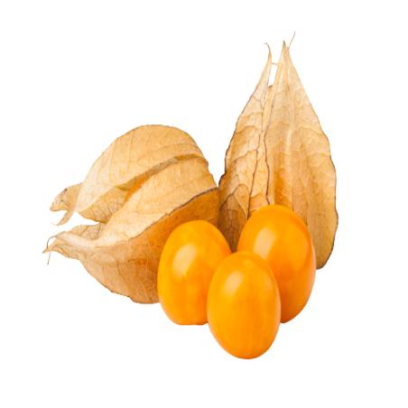 ARCAGERGES PHYSALIS BANDEJA 100 GR