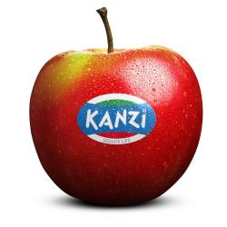 MANZANA GOLDEN VALVENOSTA.X.KG