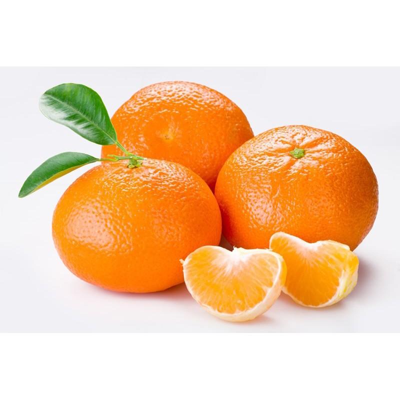 MANDARINA NADORCOTT X KG