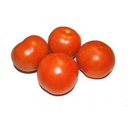 TOMATE BOLA X KG