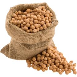 GARBANZO PEDROSILLANO AL PESO KG