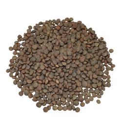 LENTEJA PARDINA AL PESO KG