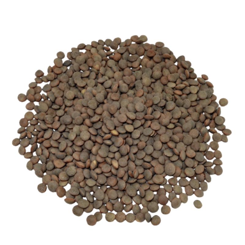 LENTEJA PARDINA AL PESO KG