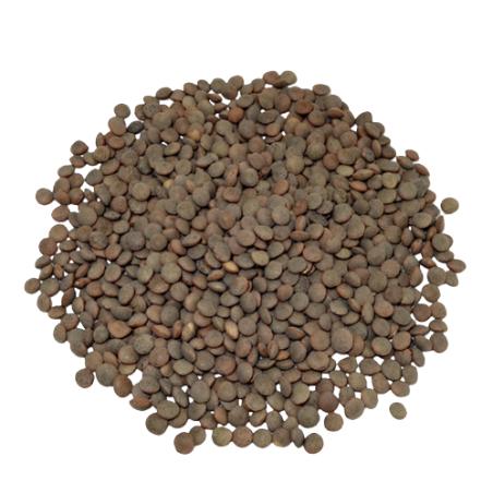 LENTEJA PARDINA AL PESO KG