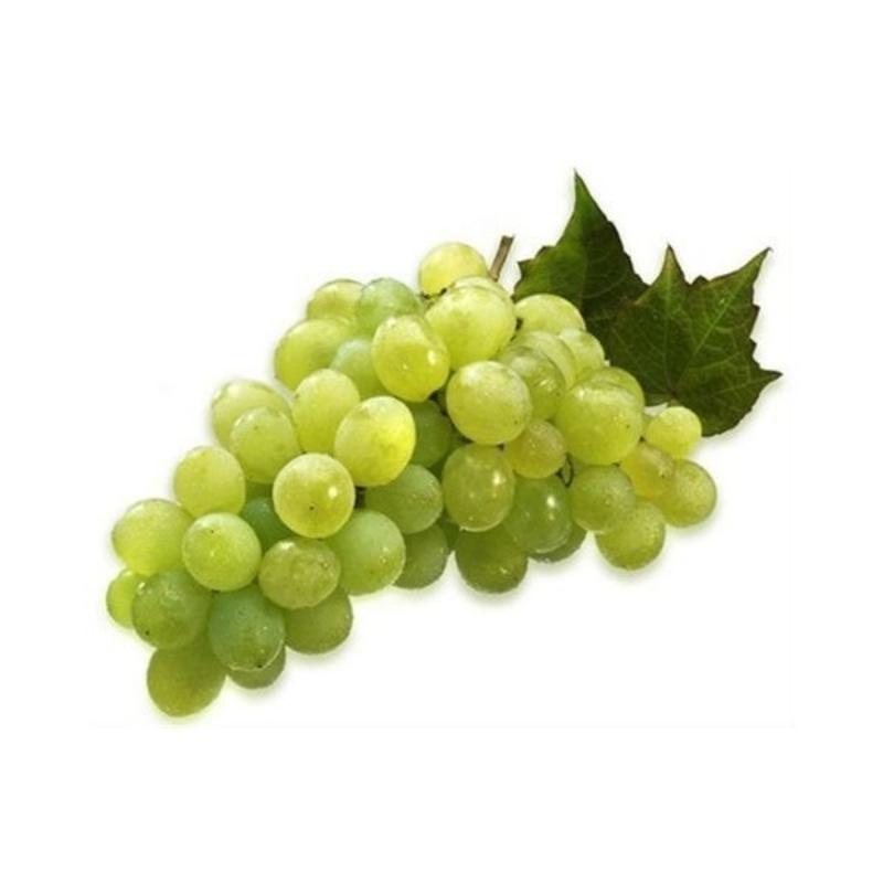 UVA BLANCA VICTORIA C/P X  KG