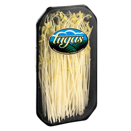 BROTES DE CEBOLLA TUGAS B/80 GR