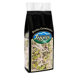 BROTES DE RABANO TUGAS B/80 GR