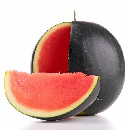 SANDIA NEGRA FASHION X KG