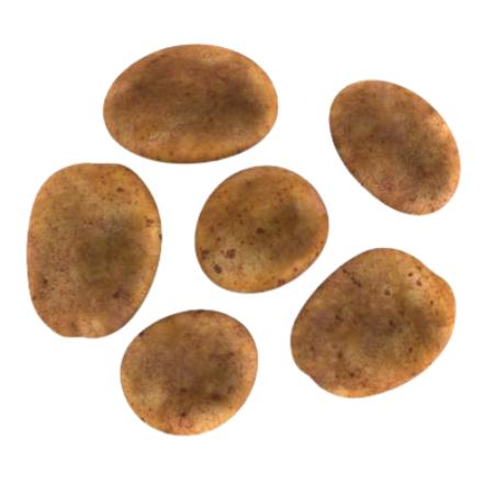 PATATA AGRIA X KG