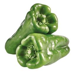 PIMIENTO VERDE GORDO LAMUYO X KG