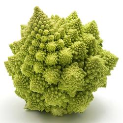 ROMANESCO PIEZA
