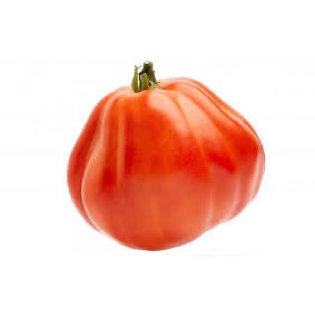 TOMATE CORAZON DE BUEY X KG