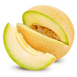 MELON GALIA X KG