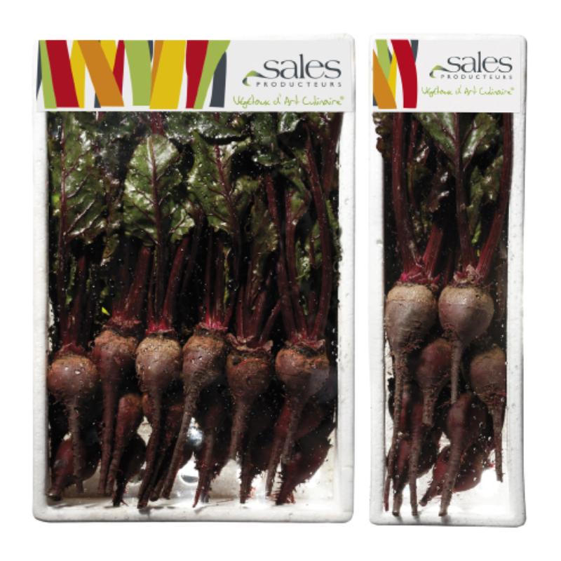 REMOLACHA MINI SALES ESTUCHE 300 GR