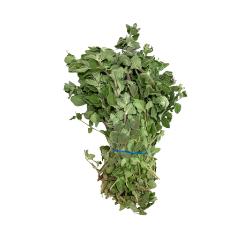 OREGANO MANOJO 