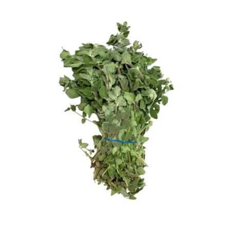 OREGANO MANOJO 