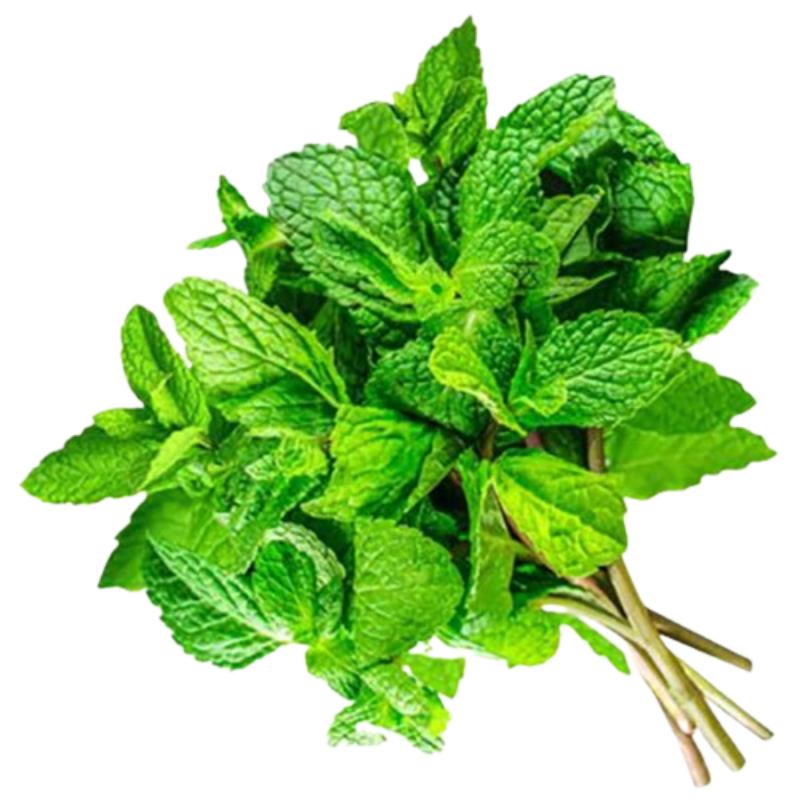 MENTA NATURAL MANOJO